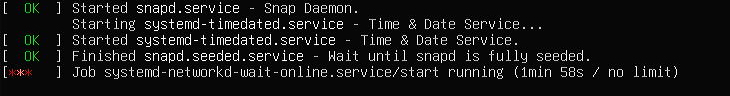 Ubuntu-24-04-Server-systemd-networkd-wait-online-service.jpeg
